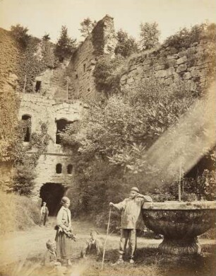Studien vom Heidelberger Schloss und anderen Ruinen: Teil der Ruine Hardenburg mit Brunnenschale, Gesträuch und Staffagen