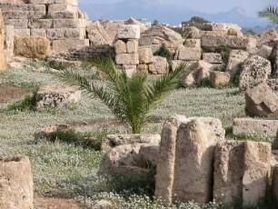 Akropolis von Selinunt, 2500 Jahre alt