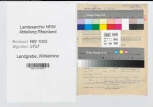 Entnazifizierung Wilhelmine Landgrebe , geb. 27.03.1900 (Lehrerin)