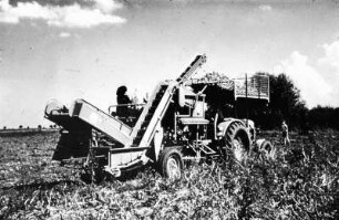 Kartoffelsammelroder mit Überkopfbunker am Traktor
