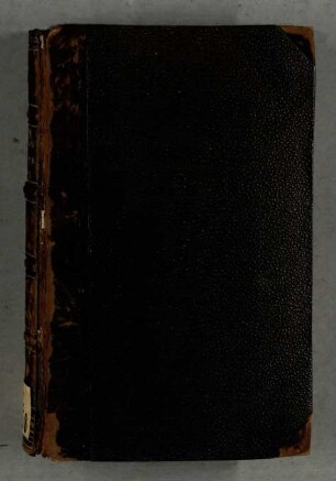La Vita Nuova e il Canzoniere di Dante Allighieri