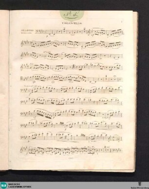 Duo Mignon sur des airs favoris de Norma : pour violoncelle et pianoforte; oeuvre 24