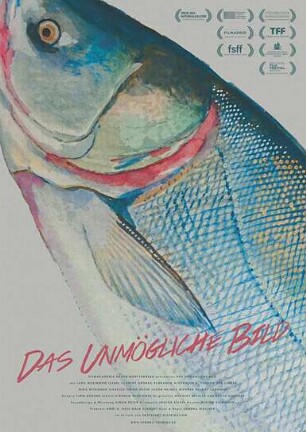 Das unmögliche Bild