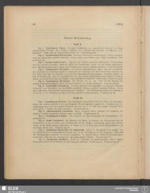 Tafel-Erklärung