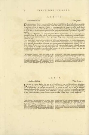 LXXIV. Linden-Blossem. - Tilia florens