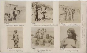 Aufnahmen der Pilcomayo-Expedition (W. Herrmann)