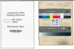 Entnazifizierung Maria Bischopinck, geb. 04.03.1909 (Stenotyp.)