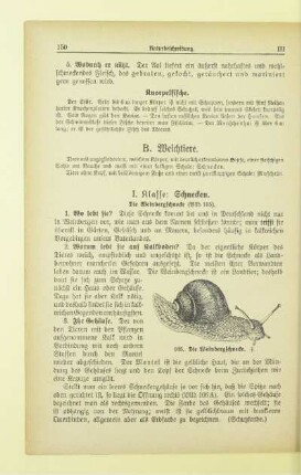 B. Weichtiere