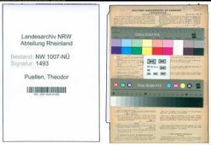 Entnazifizierung Theodor Puellen , geb. 06.01.1899 (Schlosser)