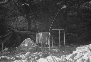 Am Schwefelsee : Dschungellandschaft mit Felsen und Stellagen