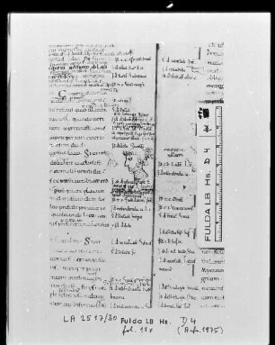 Codex Justinianeus — Ein Kopf, Folio 11verso