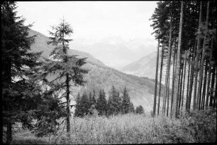 Schmittenhöhe: ausgebaute Bergstraße, Steinernes Meer, Vordergrund Wald