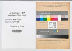 Entnazifizierung Ernst Brunsberg, geb. 25.02.1907 (Vertreter)