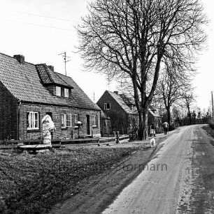 Schulenburg: Pölitzer Straße: Gut: links Siedlungshäuser mit Vorgärten und Bäumen: davor eine eingepackte Wasserpumpe: hinten rechts Mann und Frau: davor Hund