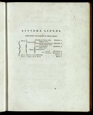 Systema Linnæi