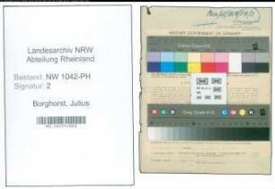 Entnazifizierung Julius Borghorst , geb. 09.04.1881 (Arzt)