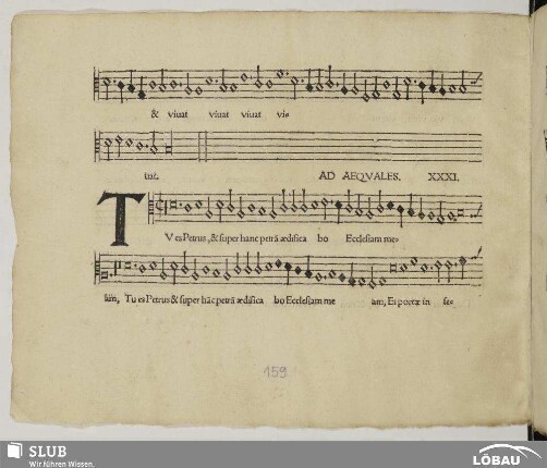 XXXI. Anonymus: Tu es Petrus (Ad aequales)