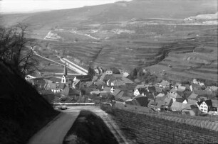 Bickensohl: Umgelegte Weinberge mit Blick nach Bickensohl