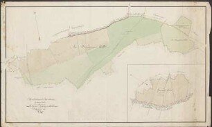 Oberforstamt Odenheim. Zeiterner Forst. Ein Theil der Zeiterner Gemeinds Waldungen. IV Plan Lit. C