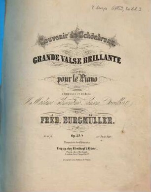 Souvenir de Schönbrunn : grande valse brillante ; op. 32 b