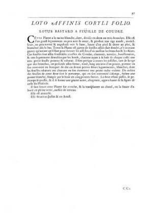 Loto Affinis Coryli Folio