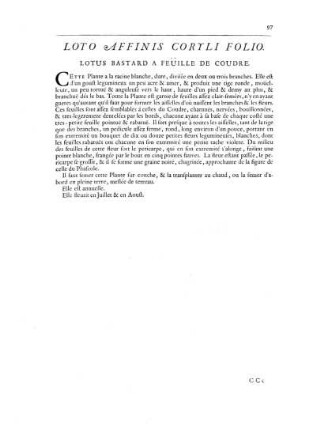 Loto Affinis Coryli Folio