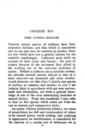 XIV. SOME CURIOUS BIVALVES