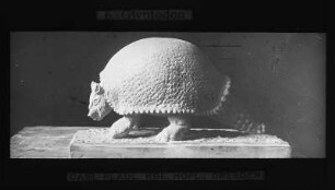 Urzeitliche Tiere. Gipsmodell eines Glyptodon (Gürteltier), Gattung der Säugetiere aus dem Pleistozän. Erstbeschreibung 1839