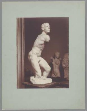 Männlicher Torso