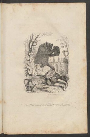 Der Bär und der Gartenliebhaber.
