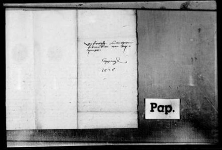 Lienhart Franck, B. zu Göppingen, wegen nicht genannter Vergehen gef., wird auf Fürbitte der wohlgeborenen Frau Anna v. Freuntspreg [von Frundsberg], geborene Gräfin von Ladron und Gemahlin des Ritters Jerg von Fruntsperg, und der edlen Frau Barbara von Bodma [Bodman, Kr. Stockach], geborene von Fruntsperg sowie drei Töchtern des Herrn Jörgen von Fruntßperg und anderer Frauen und Jungfrauen vom Adel, des Herrn Hanß von Fruntsperg, Domherr zu Augsburg, und anderer guter Freunde aus dem Gefängnis entlassen, verspricht, künftig ohne Erlaubnis der Oberkeit keinerlei Wehr zu tragen, keine offene Zeche oder Gesellschaft mehr zu besuchen, die Gefängnis- und sonstige Kosten zu tragen und schwört U.