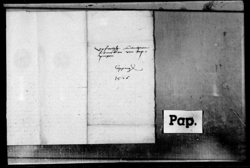 Lienhart Franck, B. zu Göppingen, wegen nicht genannter Vergehen gef., wird auf Fürbitte der wohlgeborenen Frau Anna v. Freuntspreg [von Frundsberg], geborene Gräfin von Ladron und Gemahlin des Ritters Jerg von Fruntsperg, und der edlen Frau Barbara von Bodma [Bodman, Kr. Stockach], geborene von Fruntsperg sowie drei Töchtern des Herrn Jörgen von Fruntßperg und anderer Frauen und Jungfrauen vom Adel, des Herrn Hanß von Fruntsperg, Domherr zu Augsburg, und anderer guter Freunde aus dem Gefängnis entlassen, verspricht, künftig ohne Erlaubnis der Oberkeit keinerlei Wehr zu tragen, keine offene Zeche oder Gesellschaft mehr zu besuchen, die Gefängnis- und sonstige Kosten zu tragen und schwört U.
