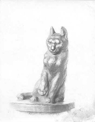 Kampfbereit (Katze)