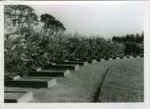 Gräber auf dem Sowjetischen Friedhof in Dahlewitz?