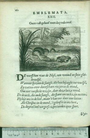 Emblemata. XXII. Geen vast geloof wert duyvels roof.