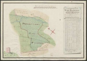 Geometrischer Plan des herrschaftlichen sogenannten Hasel-Waeldeleins oberhalb Emmendingen