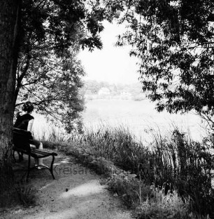 Herrenteich, Westufer: Uferweg, Schilf, Baum mit überhängenden Zweigen, darunter junge Frau auf Parkbank