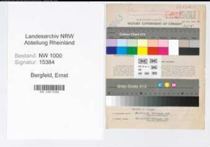 Entnazifizierung Ernst Bergfeld, geb. 31.07.1910 (Ingenieur)