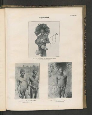 Tafel IX. Eingeborene. 1. Mann im Ferstschmuck aus Kararau II am Sepik, Töpfe zum Verkauf bringend.