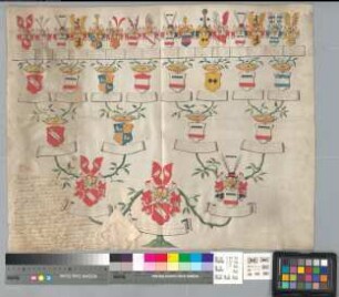 Proband: Haxthausen, Wilhelmine Antonetta von; Vater: Haxthausen, Johann Wilhelm von; Mutter: Westphalen, Barbara Catharina von: Freckenhorst, Stift