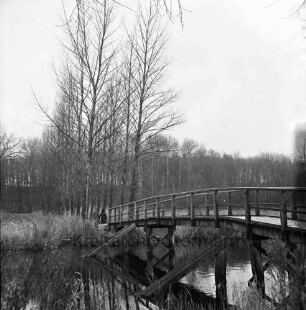 Wolkenweher Moor: Wanderweg nach Fresenburg: rechts die "Grünen Brücke" über die Trave, links der von Bäumen gesäumte Wanderweg
