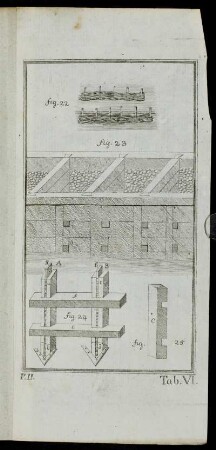 Tab. VI. fig. 22 - fig. 25