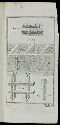 Tab. VI. fig. 22 - fig. 25