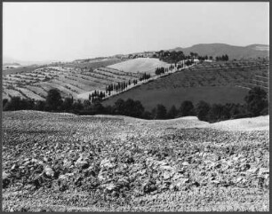 Landschaft bei San Gimignano