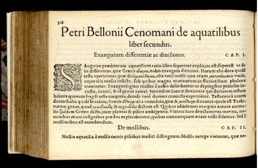 Exanguium differentiae ac divisiones. Cap. I.