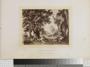Der Ring des Nibelungen / Siegfried, am Brünnhildenstein.