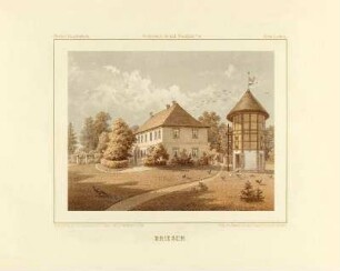 Briesen