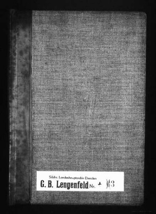 Gerichtshandelsbuch der Stadt Lengenfeld, Bd. 02