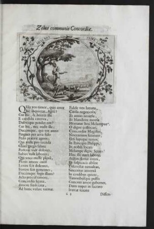 Zelus communis Concordiae.