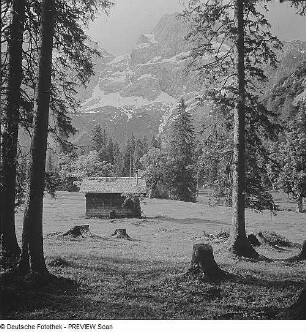 Karwendel. "Mastbaumtannen" im Gießenbachtal in Tirol